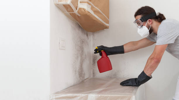 Professional Attic Mold Remediation technician working in Flinton, PA