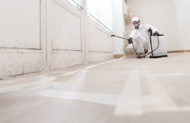 24/7 Emergency Attic Mold Remediation experts in Flinton, PA