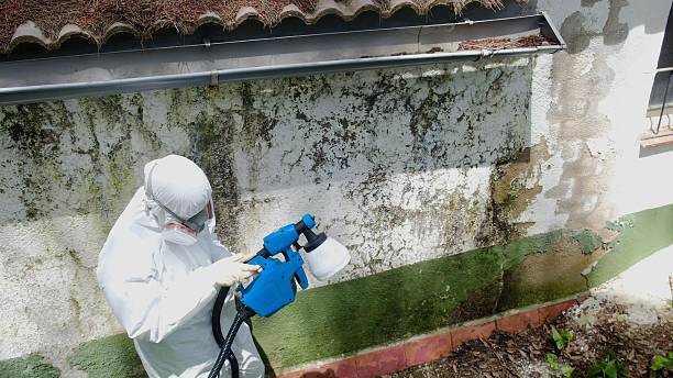 Top rated local Attic Mold Remediation specialists in Flinton, PA